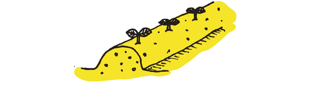 魚のイラスト